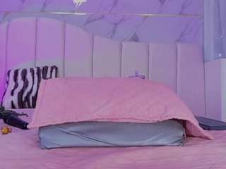 ashly-ml