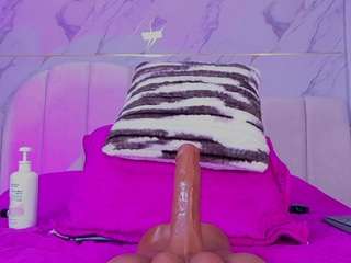 ashly-ml