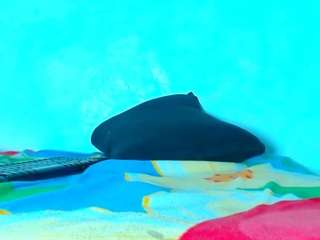 arielnoir6958 webcam