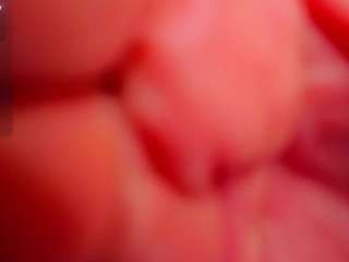 Ann live cam preview