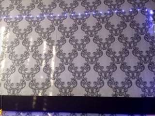 lakshmischmidt live cam profile