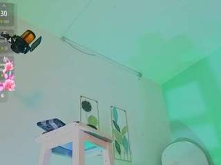 Kardy-Castle live cam