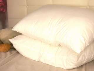 kaseybraswell webcam