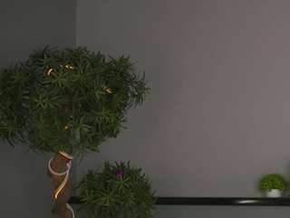 mikafanion Profile Image