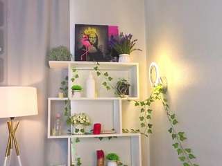 carolldamelio