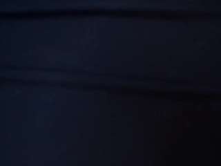 carolldamelio