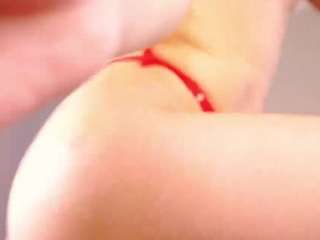 carolldamelio