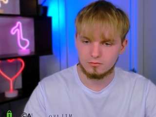 mark-sir webcam model