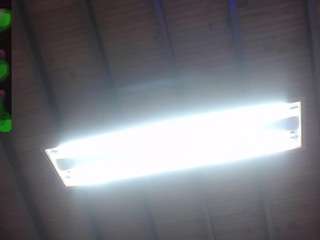 philipp-jones webcam