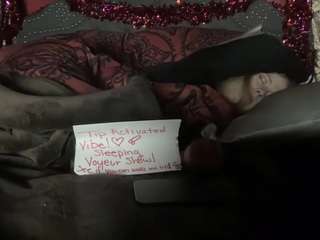 hazelfr33bird webcam