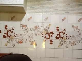 Live stream of linneagarcia