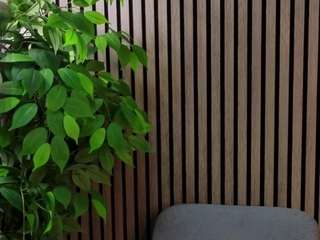 anastaciazorc webcam model