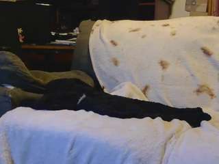 mistymountains69 webcam