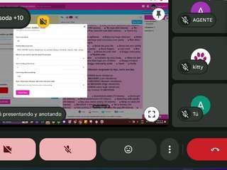 pruebalejandro1 webcam