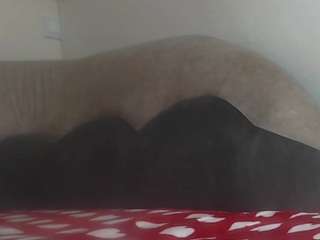 nickol19721 live webcam show