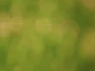 soy-marcela