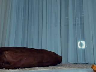 charitarhoton webcam