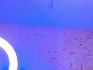 Live webcam model sampalacio on Soda Cams