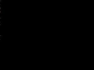 risaschryver