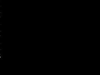 risaschryver