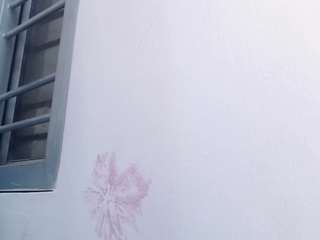 ValeriiaRey