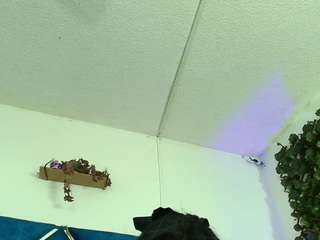 alexarousse4u