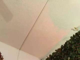 alexarousse4u