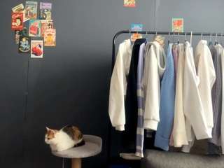 janettafigert webcam