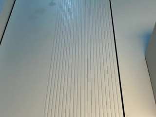 madisonmi