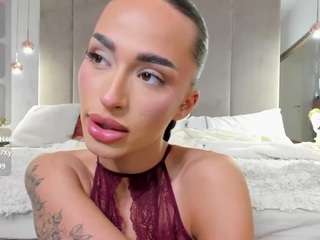 eva-k webcam