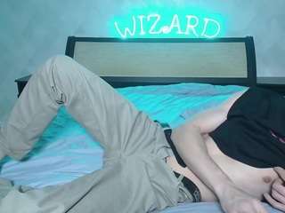 lstfl-wizard webcam