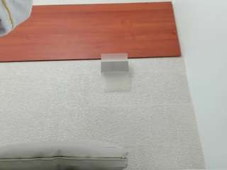 salome-morris webcam