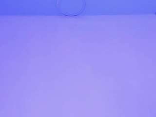 isabella-monroe webcam