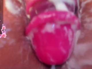 kathe-collinss webcam