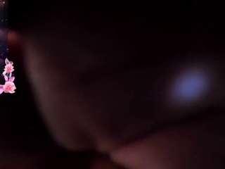 kathe-collinss webcam