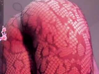 kathe-collinss webcam