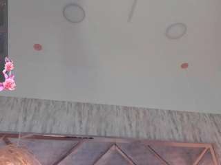 kathe-collinss webcam