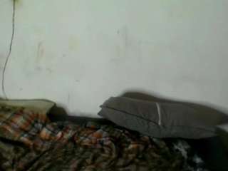 lilianpaschel's CamSoda show and profile