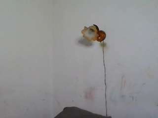 lilianpaschel webcam