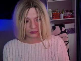 model3456 webcam model