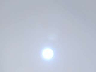 ariaamoon