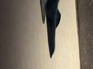 biggerbenny007