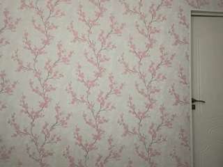 kandygelfo's CamSoda show and profile