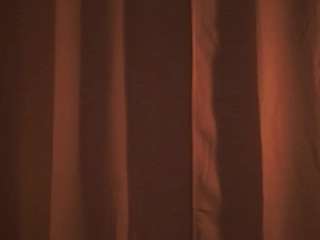 wilheminamorisey