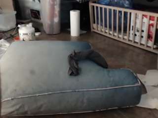 jacobjackpot123 webcam model