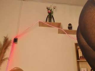 tylla webcam