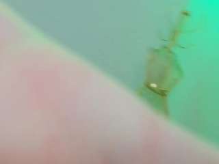 kira-west Live Webcam on CamSoda