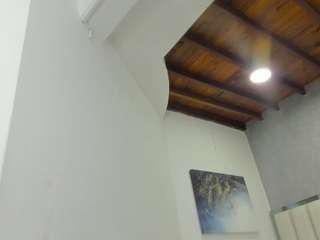 ash-vega webcam