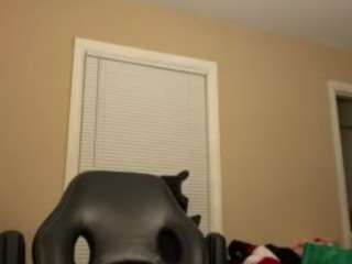 Live webcam model lavishlay on Soda Cams