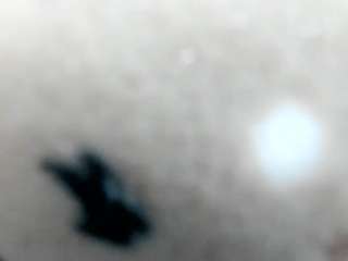 Live webcam model goddessxoxolove on Soda Cams